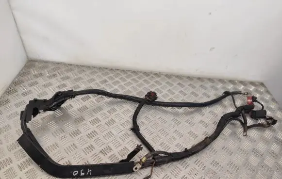Audi A7 S7 4G Other wiring loom 4G0971824P