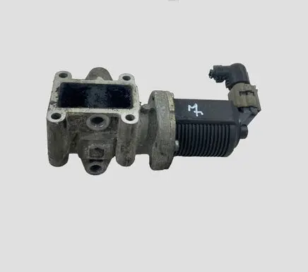Opel Vectra C EGR valve 55215031