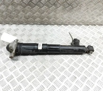 Volkswagen ID.4 Rear shock absorber/damper 1EA512037N