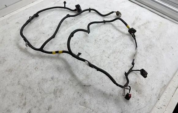 Other wiring loom