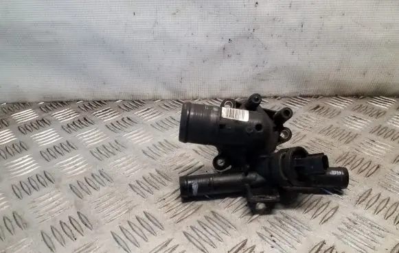 Thermostat/thermostat housing