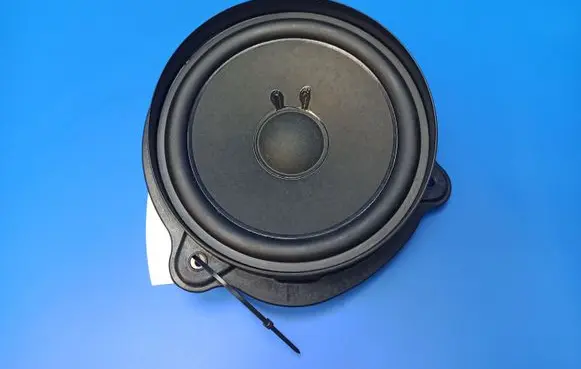 Mercedes-Benz CLS C219 Rear door speaker A2198200502