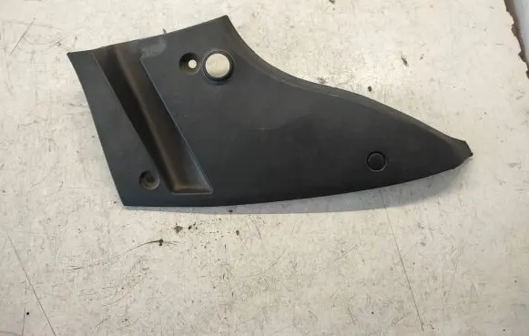 Rear/tail light trim molding