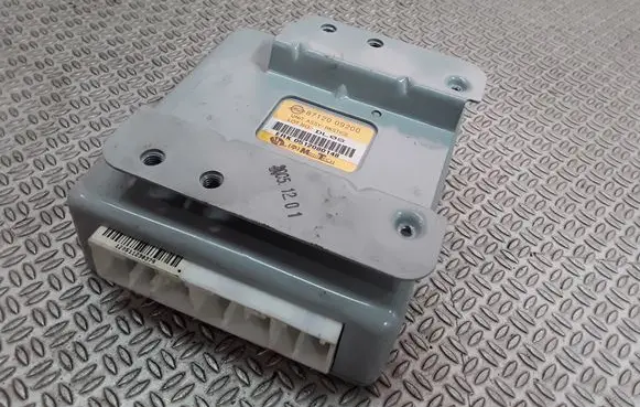 SsangYong Kyron Other control units/modules 8712009200