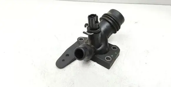 Thermostat/thermostat housing