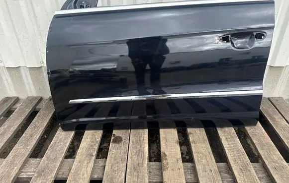 Volkswagen PASSAT CC Front door