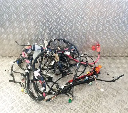 Tesla Model 3 Other wiring loom 109209700C 106795500E