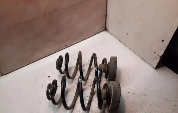 Volkswagen PASSAT B5 Rear coil spring