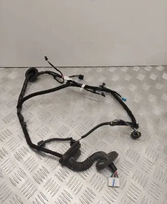 Tesla Model 3 Rear door wiring loom 206796600B HBT221655F0262