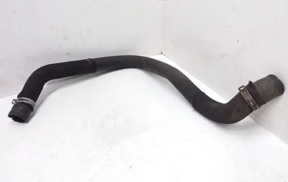 Mercedes-Benz A W169 Engine coolant pipe/hose A1695010182