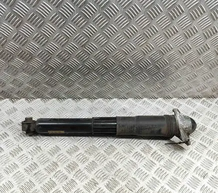 Volkswagen ID.4 Rear shock absorber/damper 1EA512013BC