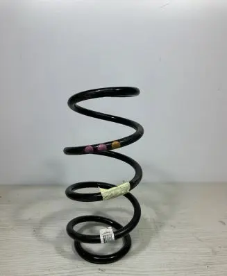 Skoda Enyaq iV Front coil spring 000000