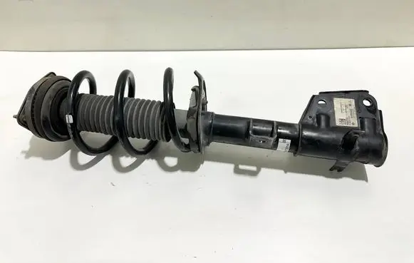 Chrysler Pacifica Front shock absorber with coil spring P68248727AD