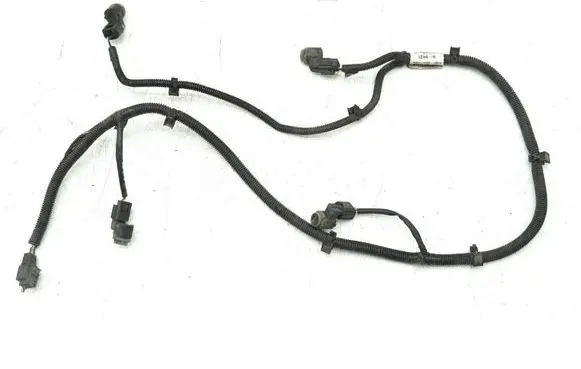 Other wiring loom