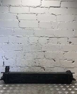 Renault Laguna III Intercooler radiator 144960001R
