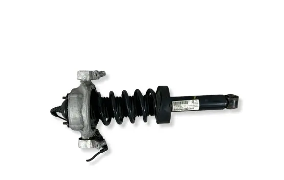 Porsche Cayenne (92A) Rear shock absorber with coil spring 7P5513029K 95833305150 95833353180