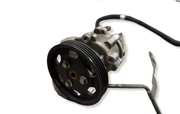 Dacia Sandero Power steering pump 491103834R