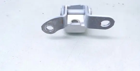 Toyota C-HR I Rear door lower hinge