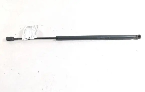 Tailgate strut