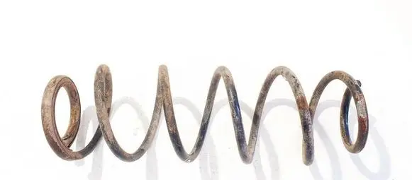 Rear coil spring