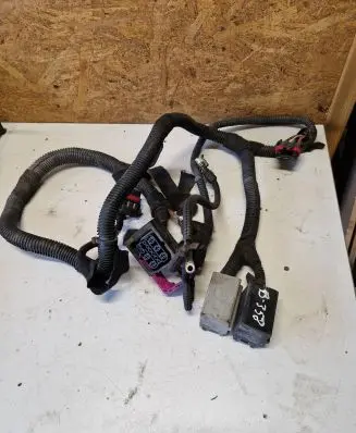 Engine installation wiring loom
