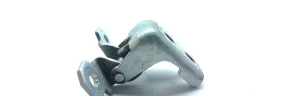 Renault Scenic III - Grand scenic III Rear door upper hinge 804000016R