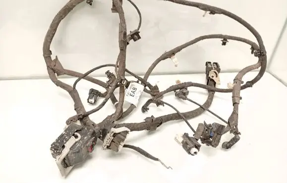 Ford Mustang Mach-E Other wiring loom PJ8T14B599EAB