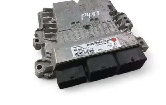 Engine control unit/module ECU