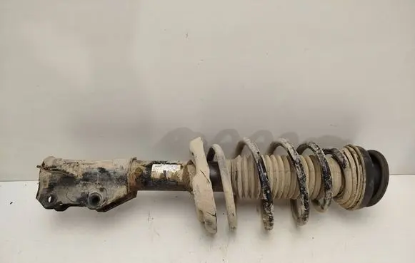 Opel Insignia A Front shock absorber with coil spring 13347485 E4622501 367327926