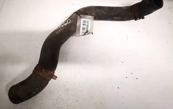 Honda Accord Engine coolant pipe/hose