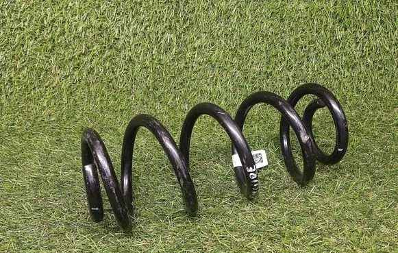 Buick Encore I Rear coil spring 42743543 688732971