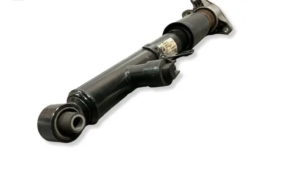 BMW M2 F87 Rear shock absorber/damper 6894638 E3424201 75689463802