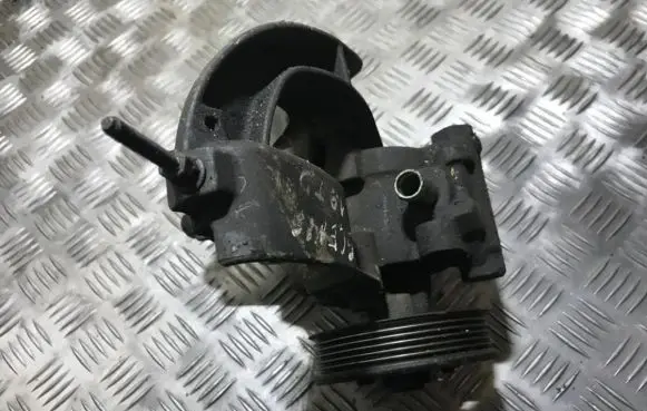 Renault Scenic I Power steering pump