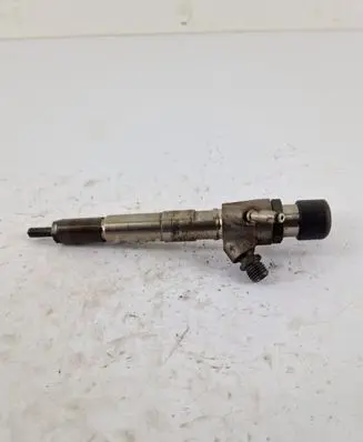 Renault Kadjar Fuel injector H8201100113