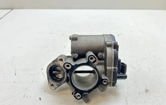 Renault Laguna III EGR valve H8200987088