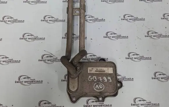 Volkswagen Golf Plus Engine oil radiator 03C117021E