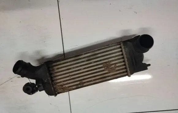 Peugeot 407 Intercooler radiator
