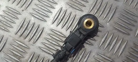 Opel Zafira B Detonation knock sensor 24435095