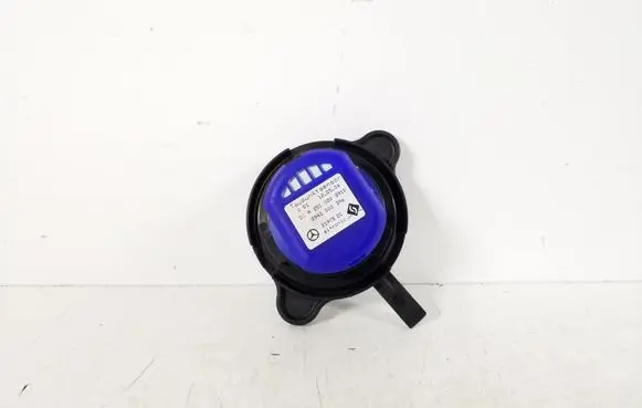 Mercedes-Benz R W251 Sensor A2518203910