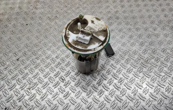 Citroen Nemo In-tank fuel pump 51787161 0580200001 25032012