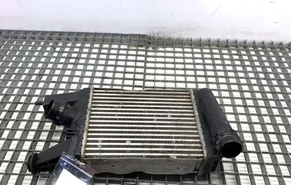 Nissan Juke I F15 Intercooler radiator 144613ZU1B