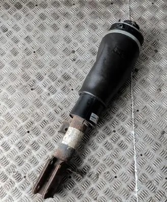 Land Rover Range Rover L322 Air suspension front shock absorber 22248331 163144