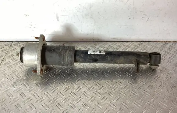 BMW X5 E70 Rear shock absorber/damper 33506773238
