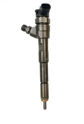 Dacia Dokker Fuel injector 0445110485