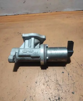 EGR valve
