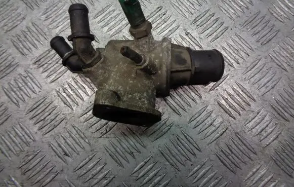 Thermostat/thermostat housing