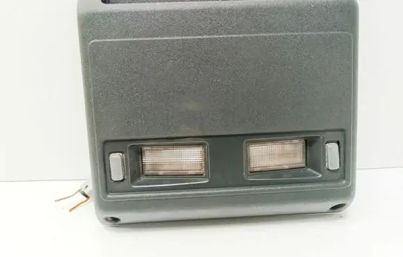 Pontiac Trans Sport Front seat light 10117081