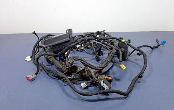 Other wiring loom