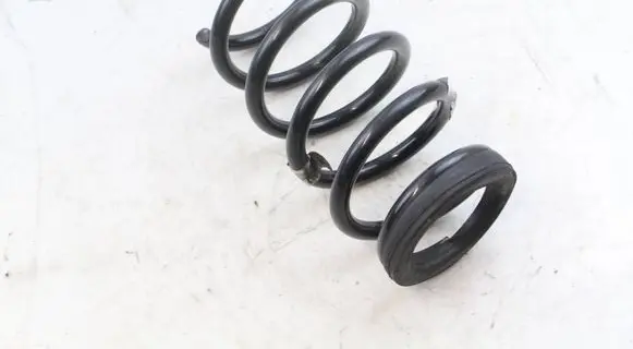 Rear coil spring
