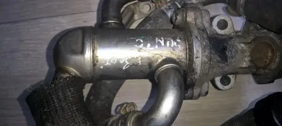 Fiat Punto (188) EGR valve cooler fgp55180037